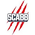 圣夏蒙