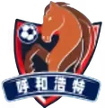呼和浩特队